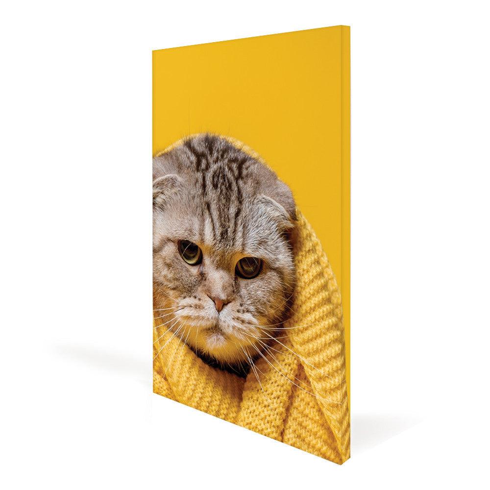 Canvas Frame Display - San Diego Sign Company